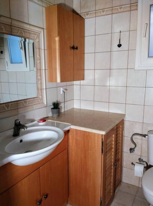 Apartament Agi's Alykes Potamou